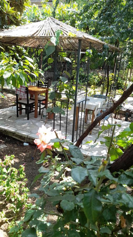 Camping Late Gjirokastër Екстериор снимка