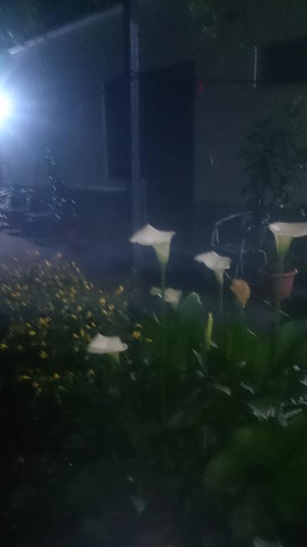 Camping Late Gjirokastër Екстериор снимка